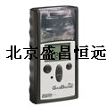 GasBadge® Pro Ӣ˼